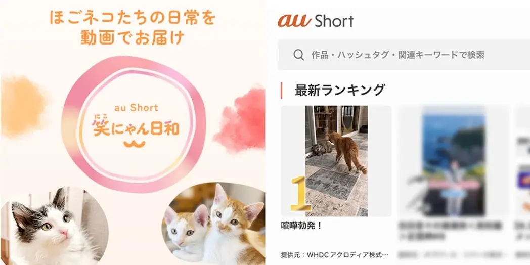 縦型動画制作サービス｜KDDI au Short第1位獲得実績のワイハウグループ〜小室哲哉（DMM TVプロデュース）・井上博貴監督（カンヌ上映）・AR技術（秋葉原6店舗導入）による総合ソリューション〜